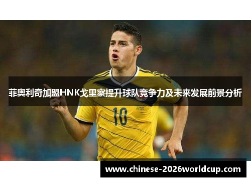 菲奥利奇加盟HNK戈里察提升球队竞争力及未来发展前景分析