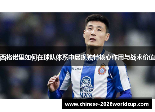 西格诺里如何在球队体系中展现独特核心作用与战术价值 西格诺里如何在球队体系中展现独特核心作用与战术价值