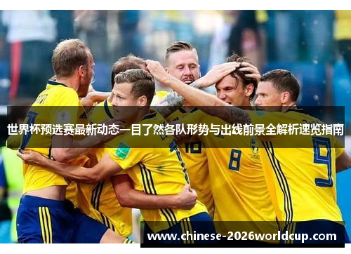 世界杯预选赛最新动态一目了然各队形势与出线前景全解析速览指南