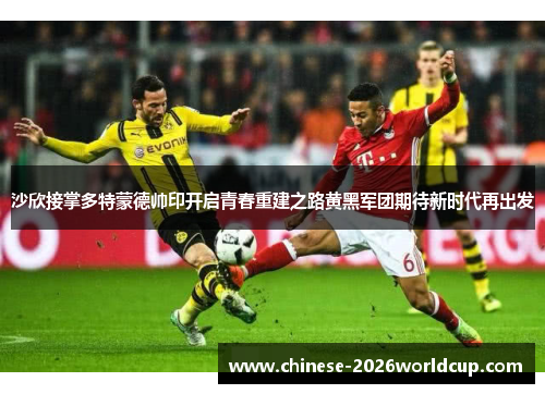 沙欣接掌多特蒙德帅印开启青春重建之路黄黑军团期待新时代再出发