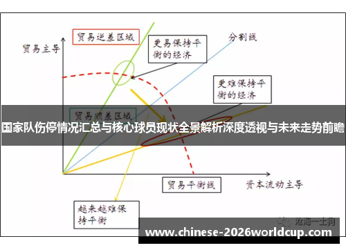 国家队伤停情况汇总与核心球员现状全景解析深度透视与未来走势前瞻